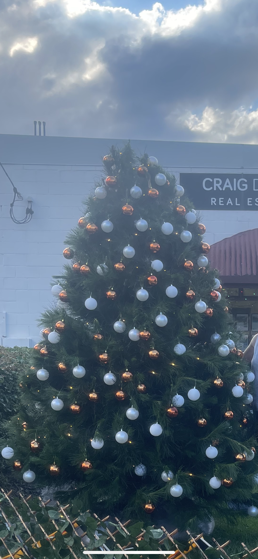 X-Large Christmas Tree (1.8m+)