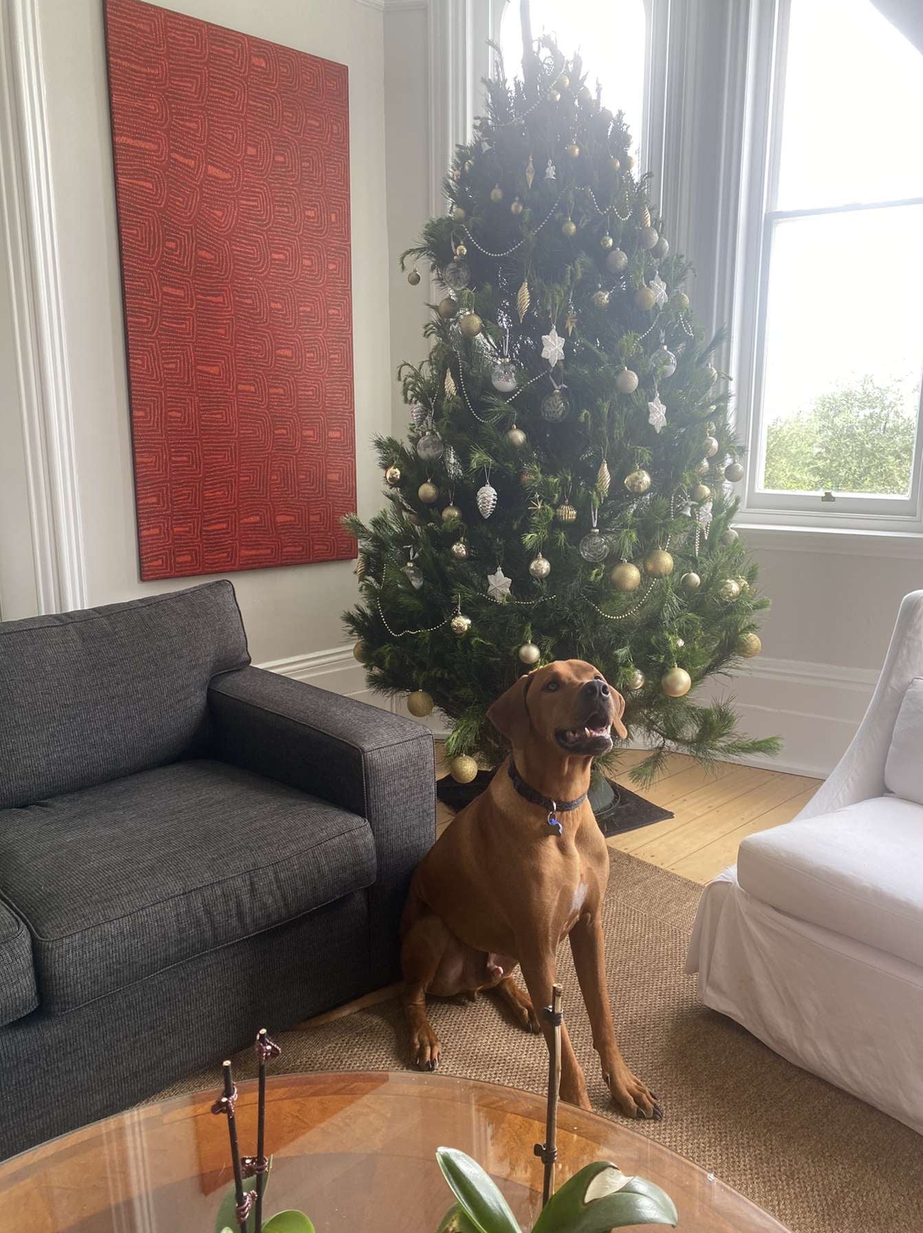 X-Large Christmas Tree (1.8m+)