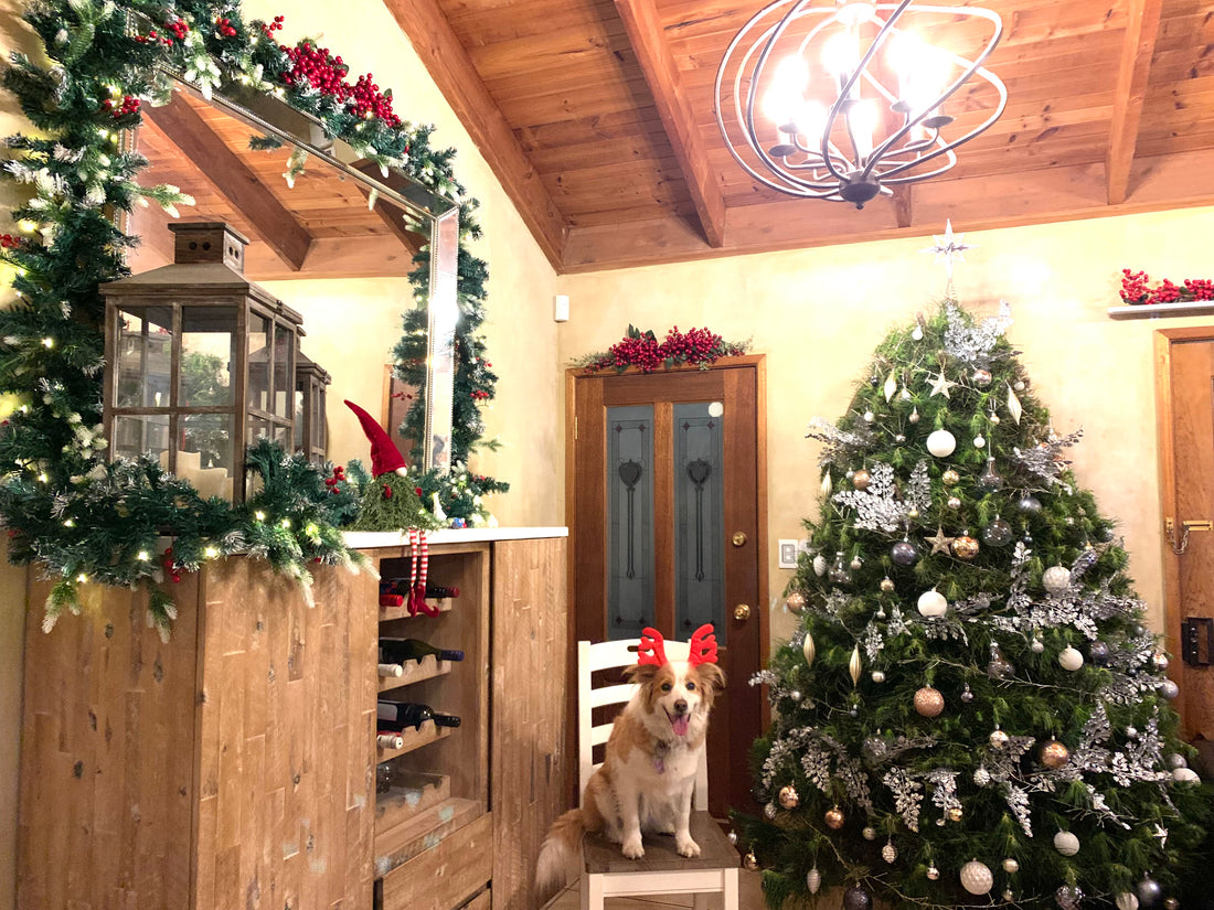 The Christmas Tree Express thechristmastreeexpress