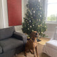 X-Large Christmas Tree (1.8m+)